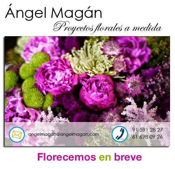 Angel Magan - Proyectos florales a medida